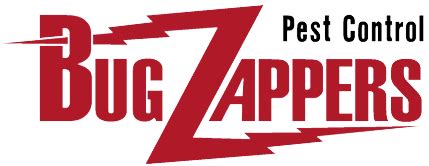 Whatever the job, large or small, lubbock pest control is ready to meet your needs and. Spider FAQ | Lubbock, TX | Bug Zappers Pest Control