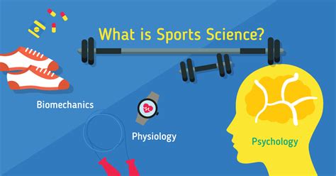 The graduates may find jobs in elite sport clubs, leisure centres community service organizations, or start their sports businesses. Study Sports Science - Find Courses & Universities
