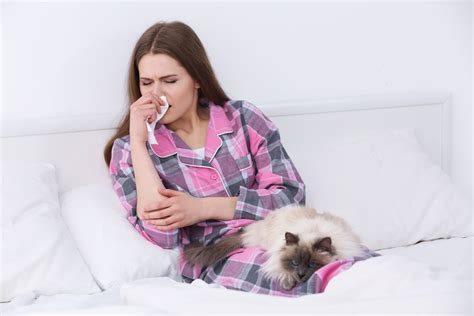 Pets are at risk of contracting this disease, so you should create a plan of action for yourself and your pets in case of an emergency situation. Can My Pet Get COVID-19? - Somerset Animal Hospital