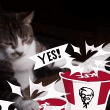 Get yours today at these. Kfc GIFs | Tenor
