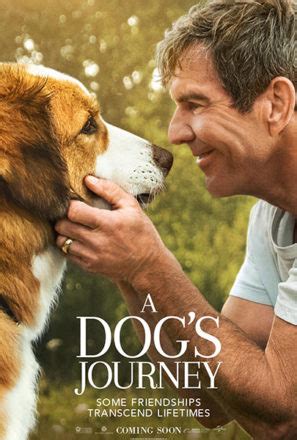 Like and share our website to support us. A Dog's Journey (2019) - About the Movie | Amblin