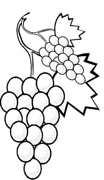 kids  funcom  coloring pages  fruit