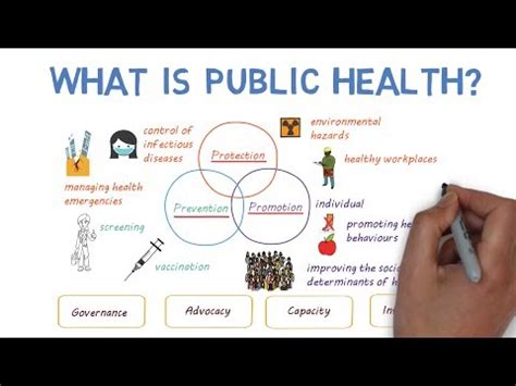 What Is Public Health Uohere