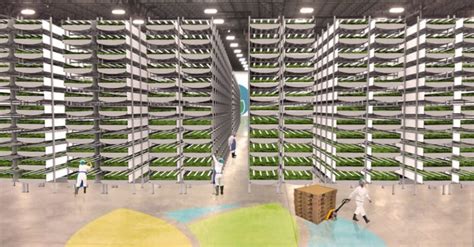 Aerofarms Is Building The Worlds Largest Indoor Vertical Farm Just 45
