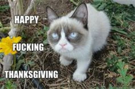 A statement says she died on tuesday following complications from a recent urinary tract. 1000+ images about Grumpy Cat Thanksgiving on Pinterest ...