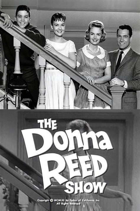 The Donna Reed Show Tv Series