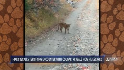 Utah Hiker Is Chased By Cougar Video Shows I Dont Feel Like Dying