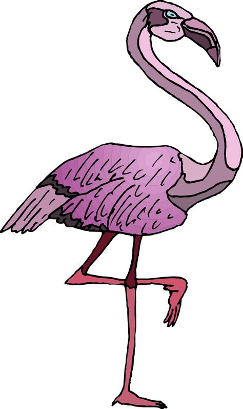 Cartoon Flamingo Images Clipart Best