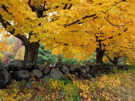New England Autumn Wallpaper Wallpapersafari