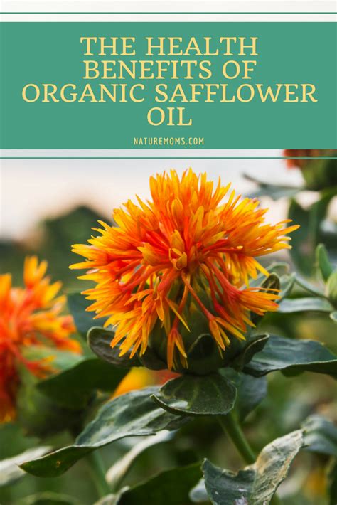 The Health Benefits Of Organic Safflower Oil