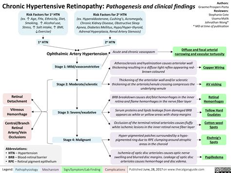Chronic Hypertensive Retinopathy Pathogenesis And Grepmed