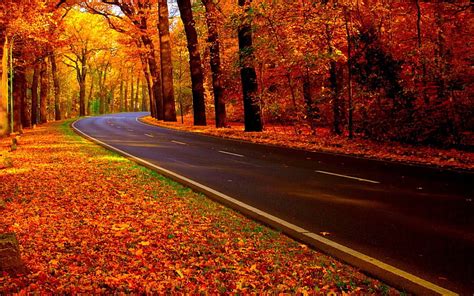 Hd Wallpaper Autumn Season Roads Parks 1920x1080 Nature Seasons Hd Art