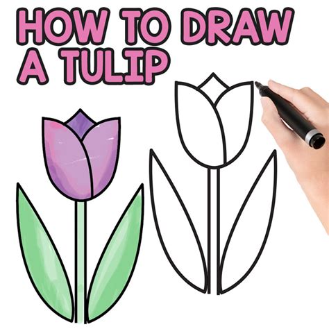 Before i get to the fun lessons that are coming your way pretty soon, i want to quickly submit this tutorial on <strong. How to Draw a Tulip for Kids - Easy Step by Step Tutorial ...