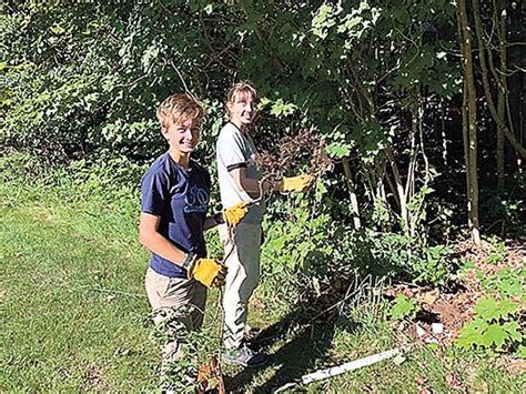 Dig up the weedy plant by the roots, removing as much of the root mass as is feasible. Helping reclaim a local woodland environment | News ...