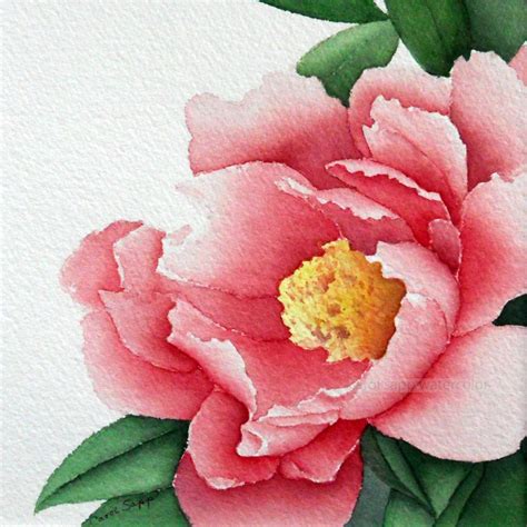 Rose Peony Watercolor Flower Painting 12 X 12 By Carolsapp