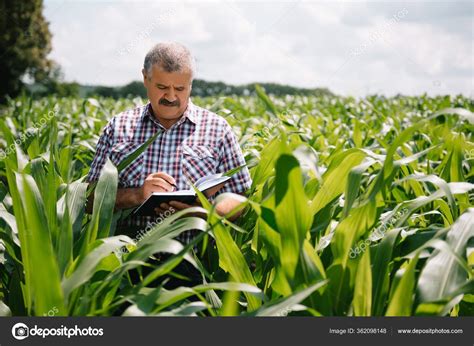A tiller of the ground; Agricultor Adulto Verificando Plantas Sua Fazenda Agrônomo ...