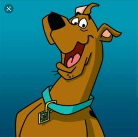 Third dog looks like scooby doo 😱 #dogs #foryou #dogsoftiktok. Pin by Judy Quinn on Scooby | Scooby doo movie, Scooby doo ...