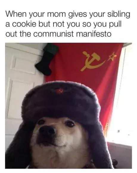 Comrade Doggo 9gag