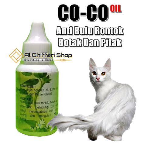 14 Tips Perawatan dan Solusi Bulu Kucing Botak Karena Jamur - bulu