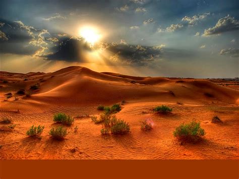 48 Desert Scenes Wallpaper Wallpapersafari