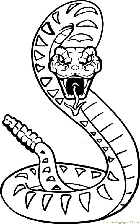Snake 12 Coloring Page - Free Snake Coloring Pages : ColoringPages101.com