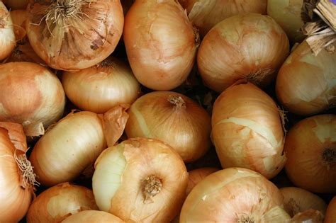 What Makes Vidalia Onions Sweet Cheap Simple Living