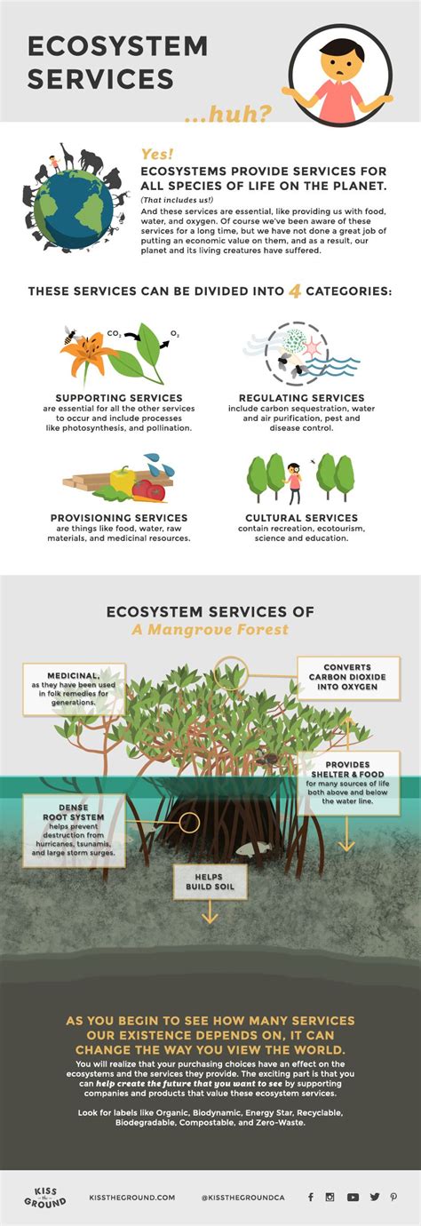 Ecosystems Services By Kiss The Ground Ecosystems World Environment
