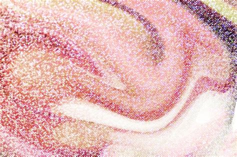 Close Up Of Pink Blush Glitter Textured Background Photo Free Download