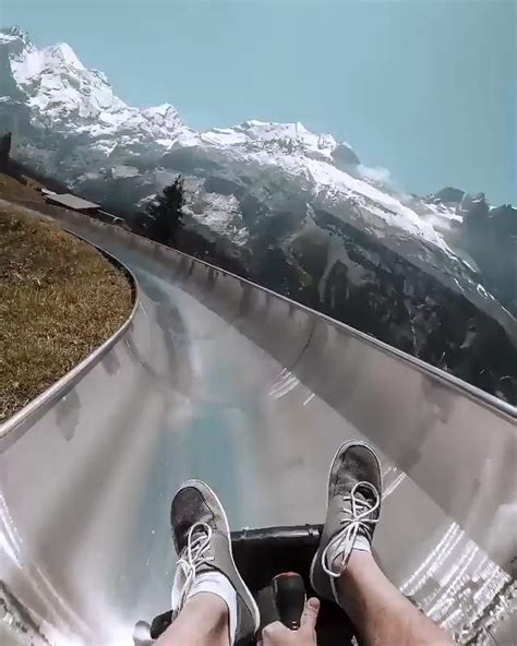 The Alpine Slide In Kandersteg Switzerland 😲😲 Video Travel Travel