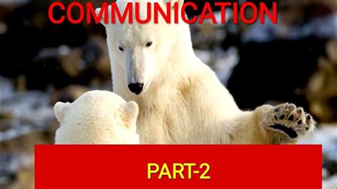 Animal Communication Part 2 Types Of Animal Communicationauditory