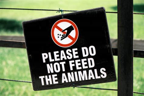 400 Sign Prohibiting Animal Feed Stock Photos Pictures And Royalty Free