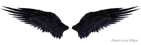 Black Wingsfallen Angel By Niamh Anna Wilson Redbubble