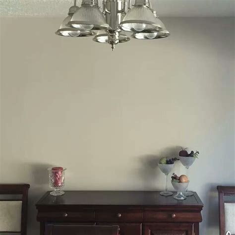 Essential paint tools & accessories. Anew Gray by Sherwin Williams | Paint colors, Anew gray, Decor