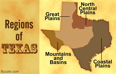 Curious About The 4 Main Regions Of Texas Check This Out