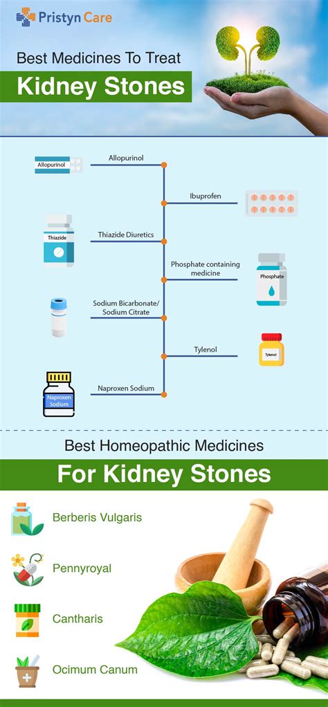Best Medicines For Kidney Stones Pristyn Care