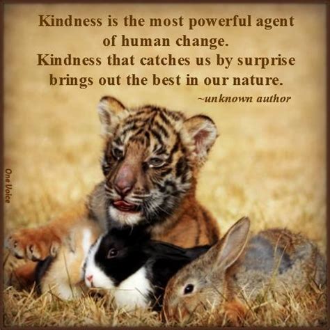 Quotes About Kindness To Animals. QuotesGram