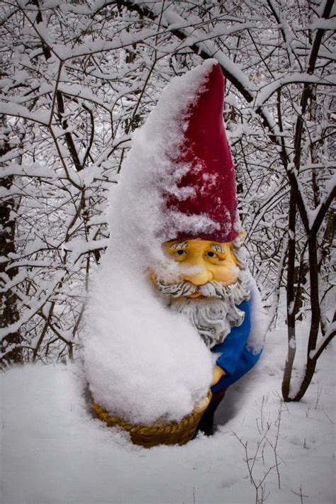 Winter Is Coming Gnome Garden Gnomes Yard Gnomes