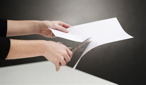 Hands Of Person Cutting Paper Stock Photo Image Of Adult Arms 23771554