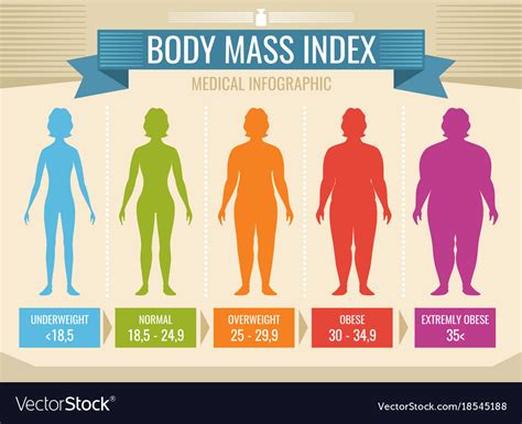 Woman Body Mass Index Medical Infographic Vector Image Sexiz Pix