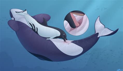 Rule 34 Cetacean Cunnilingus Delphinoid Duo Female Feral Genitals Hi Res Male Male Female