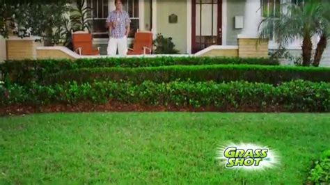 How to plant grass seeds. Grass Shot - Quick and Easy Way to Grow Grass! - YouTube
