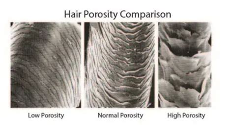 Hair Porosity What Does It Mean A Million Styles Africa