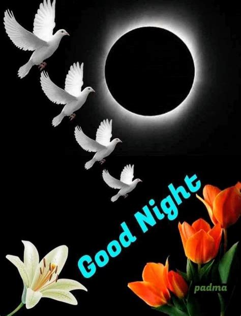 Good Night Pictures Images Graphics Page 4