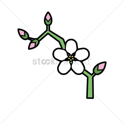 Apple Blossom Vector At Getdrawings Free Download