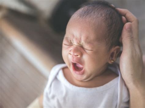 Bayi yang memang sedang serius menyusu tidak menggigit karena menyusu tidak bisa sambil menggigit. Kenapa Bayi Mudah Mengantuk & Tertidur Masa Menyusu ...