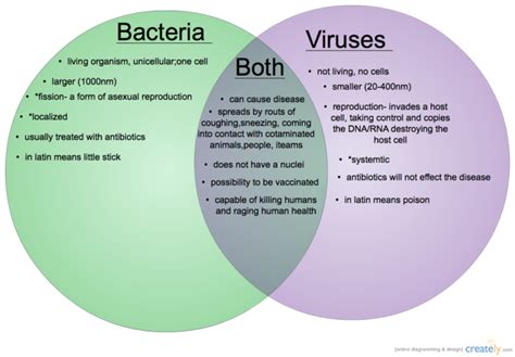Bacteria Viruses What Is The Difference Upc