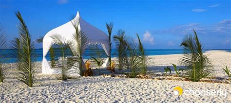 Instant coleman 10 x 10 sun shelter. Best Canopy for the Beach in 2020 - Selected by Expert