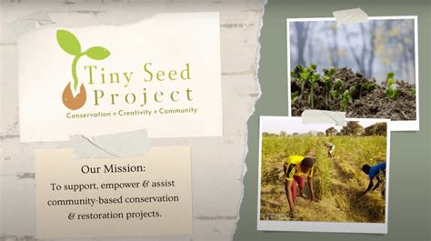 About Tiny Seed Project Tiny Seed Project