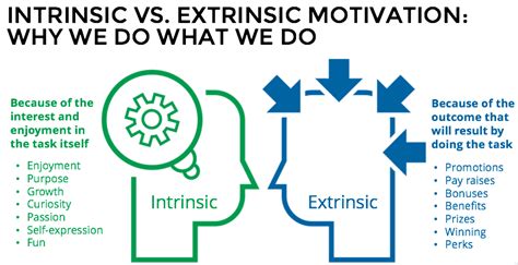 Differences Between Extrinsic And Intrinsic Motivation Riset