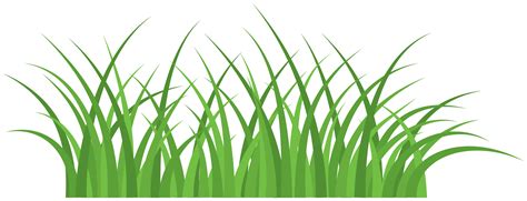 Free Grass 1193359 Png With Transparent Background